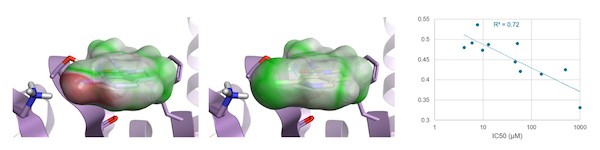 Electrostatic Complementarity TM maps and scores